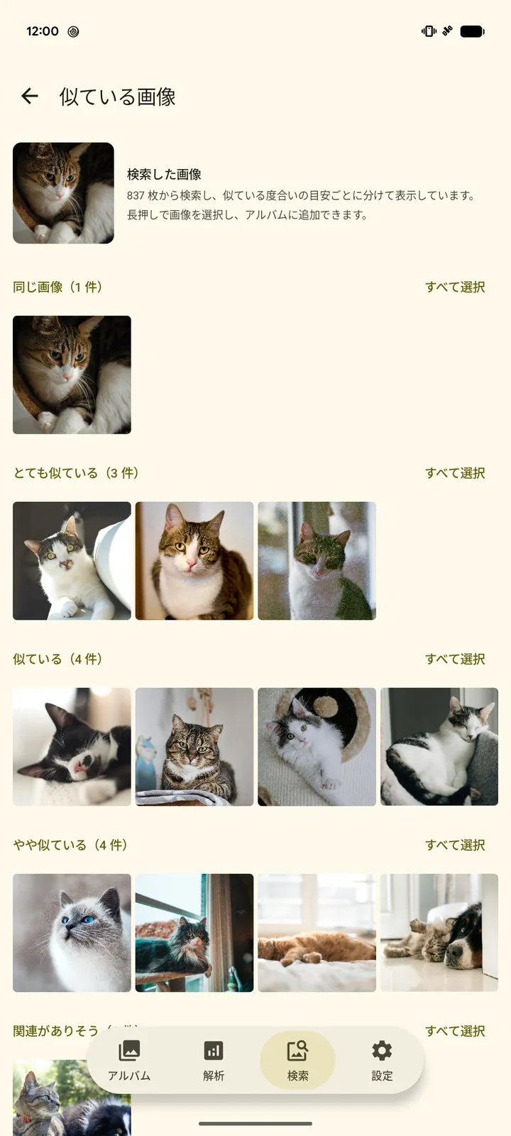猫の写真を1枚選んで、似た写真を「同じ画像」「とても似ている」「似ている」などの度合いごとに表示している画面
